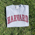 Vintage Harvard Shirt (sold)