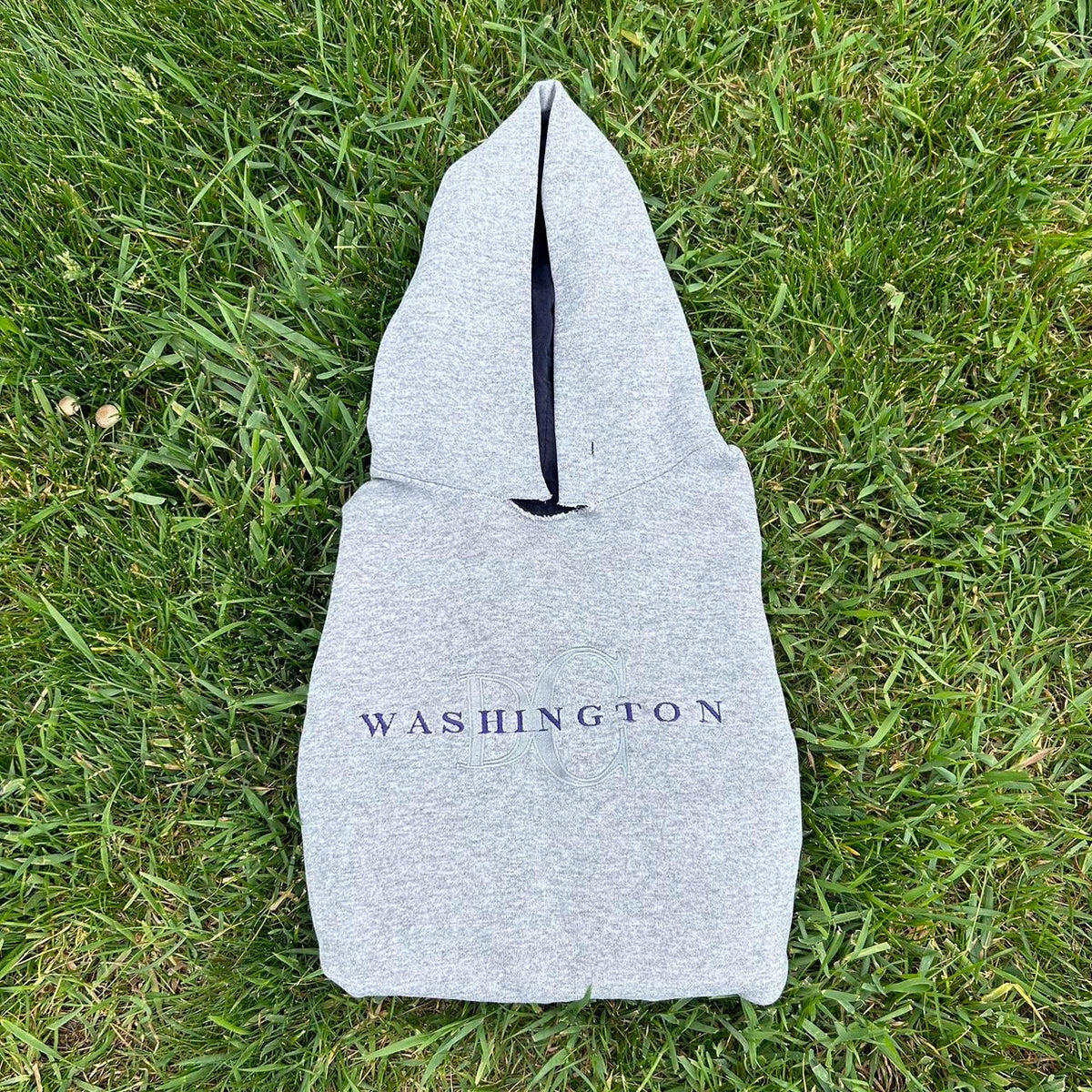 Washington DC Hoodie (sold)