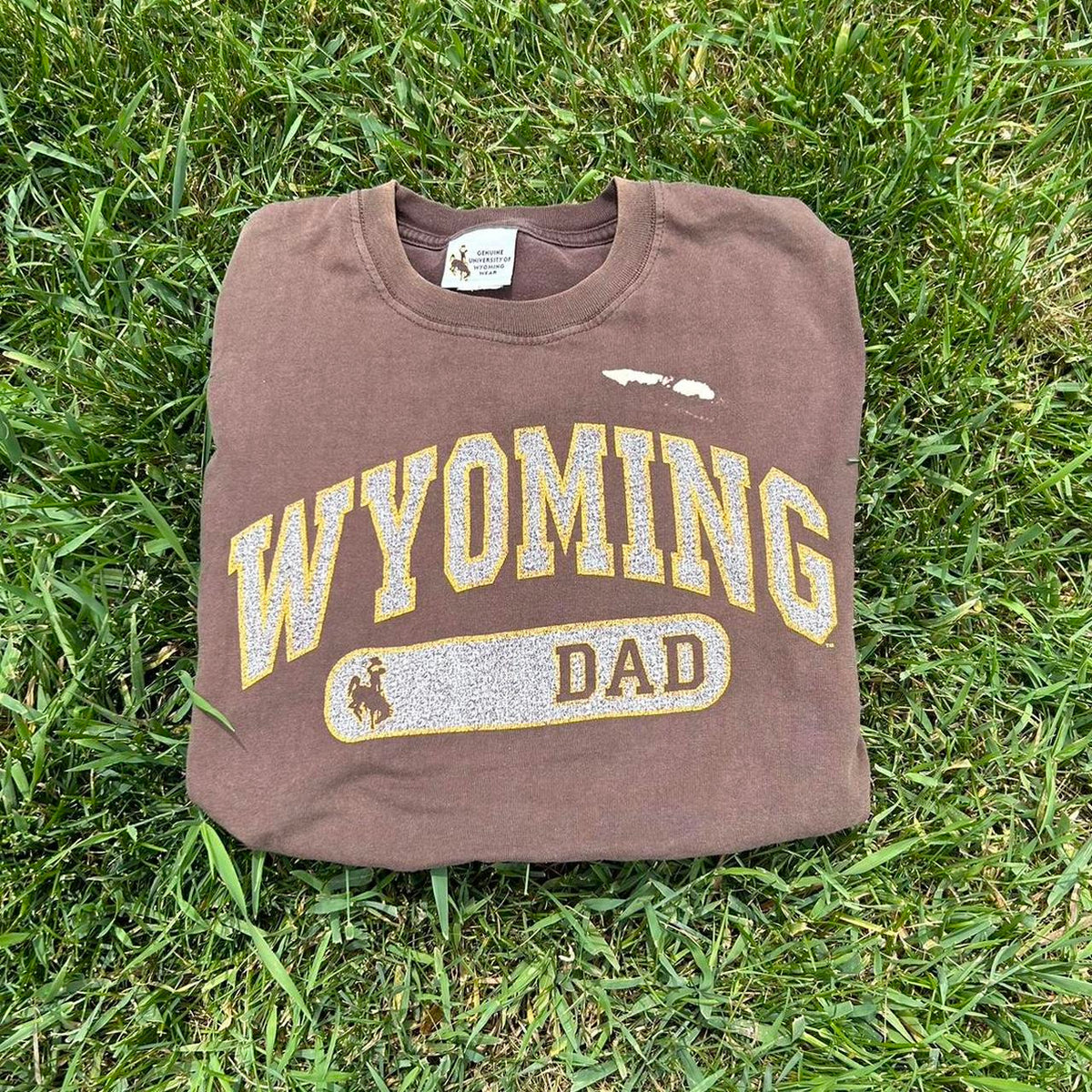 Vintage Wyoming Dad Shirt (sold)